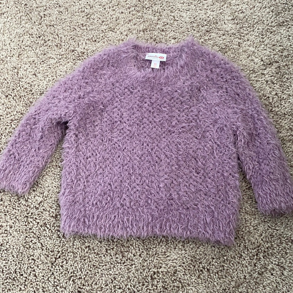 Purple sweater Annie collection at target size xs 4-5